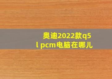 奥迪2022款q5l pcm电脑在哪儿